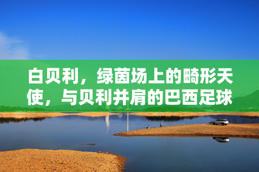白贝利,绿茵场上的畸形天使,与贝利并肩的巴西足球传奇,白贝利,绿茵场的畸形天使,与贝利并肩的巴西传奇