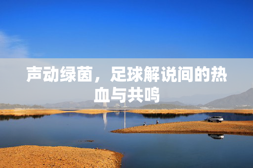 声动绿茵，足球解说间的热血与共鸣