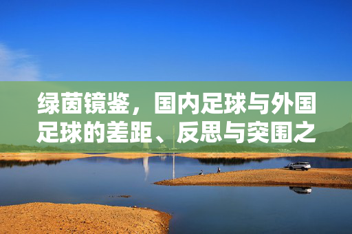 绿茵镜鉴，国内足球与外国足球的差距、反思与突围之路，绿茵镜鉴，国内足球与外国足球的差距、反思与突围