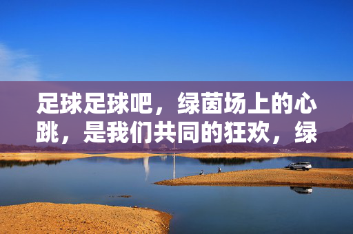 足球足球吧,绿茵场上的心跳,是我们共同的狂欢,绿茵心跳,足球狂欢