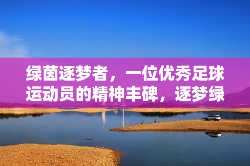 绿茵逐梦者，一位优秀足球运动员的精神丰碑，逐梦绿茵，足球场上的精神丰碑