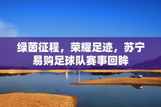 绿茵征程，荣耀足迹，苏宁易购足球队赛事回眸