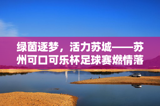 绿茵逐梦，活力苏城——苏州可口可乐杯足球赛燃情落幕，绿茵逐梦活力苏城，苏州可口可乐杯足球赛燃情落幕
