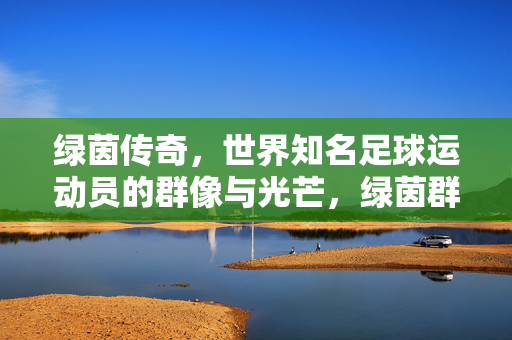 绿茵传奇，世界知名足球运动员的群像与光芒，绿茵群星，世界传奇足球光芒
