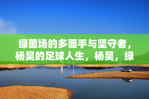 绿茵场的多面手与坚守者，杨昊的足球人生，杨昊，绿茵场的多面手与坚守者——足球人生