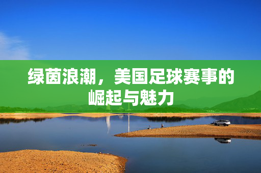 绿茵浪潮，美国足球赛事的崛起与魅力