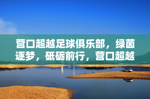 营口超越足球俱乐部，绿茵逐梦，砥砺前行，营口超越足球俱乐部，绿茵逐梦砥砺前行