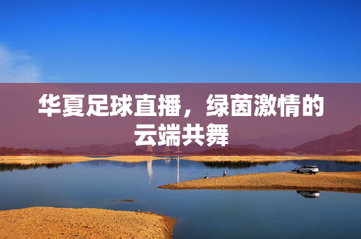华夏足球直播,绿茵激情的云端共舞