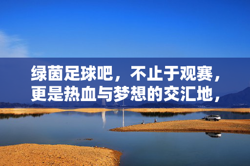 绿茵足球吧,不止于观赛,更是热血与梦想的交汇地,绿茵足球吧,热血与梦想的交汇地