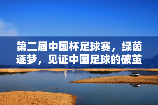第二届中国杯足球赛，绿茵逐梦，见证中国足球的破茧与成长，第二届中国杯，绿茵逐梦，中国足球破茧成长