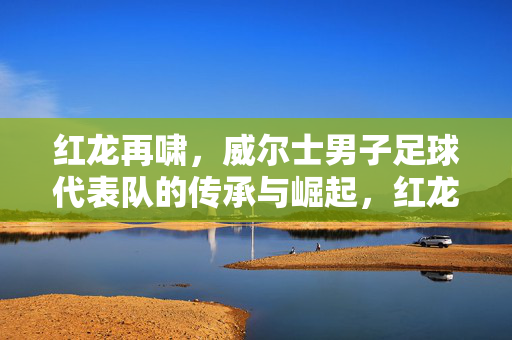 红龙再啸，威尔士男子足球代表队的传承与崛起，红龙再啸，威尔士足球的传承与崛起