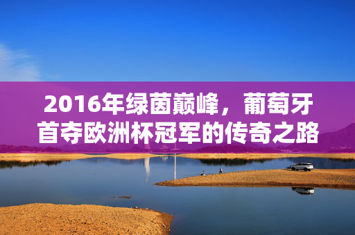 2016年绿茵巅峰,葡萄牙首夺欧洲杯冠军的传奇之路,2016年葡萄牙首夺欧洲杯冠军的传奇之路