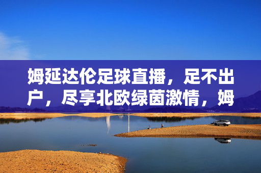姆延达伦足球直播，足不出户，尽享北欧绿茵激情，姆延达伦直播，足不出户尽享北欧绿茵激情