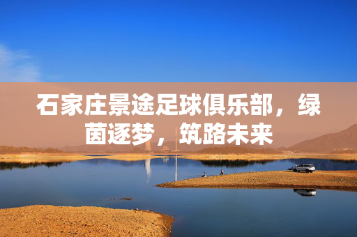 石家庄景途足球俱乐部，绿茵逐梦，筑路未来