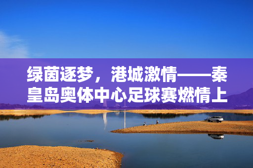 绿茵逐梦，港城激情——秦皇岛奥体中心足球赛燃情上演，绿茵逐梦，港城燃情，秦皇岛奥体中心足球赛