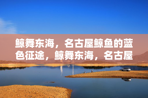 鲸舞东海,名古屋鲸鱼的蓝色征途,鲸舞东海,名古屋鲸鱼的蓝色征途