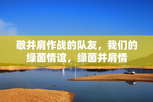 敬并肩作战的队友,我们的绿茵情谊,绿茵并肩情