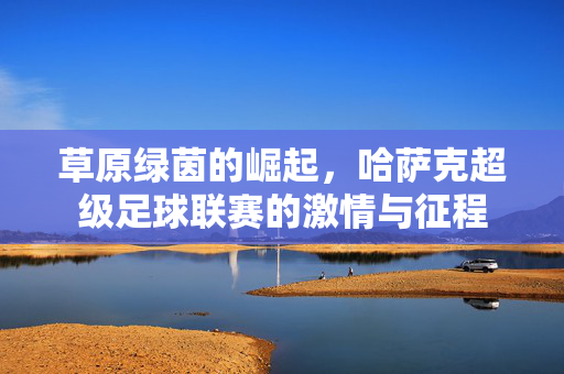 草原绿茵的崛起,哈萨克超级足球联赛的激情与征程