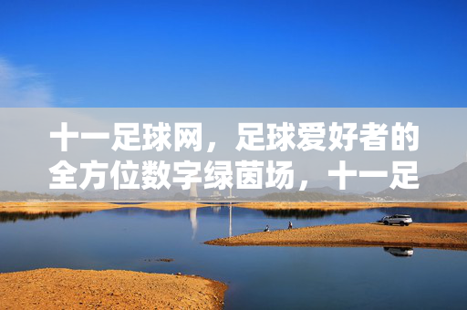 十一足球网,足球爱好者的全方位数字绿茵场,十一足球网,足球爱好者的全方位数字绿茵场