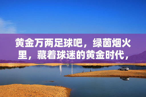 黄金万两足球吧,绿茵烟火里,藏着球迷的黄金时代,黄金万两足球吧,绿茵烟火里的球迷黄金时代