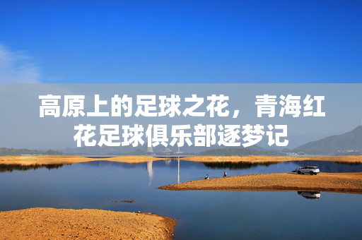 高原上的足球之花，青海红花足球俱乐部逐梦记