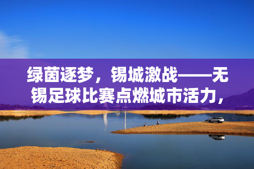 绿茵逐梦，锡城激战——无锡足球比赛点燃城市活力，锡城绿茵激战，足球点燃城市活力