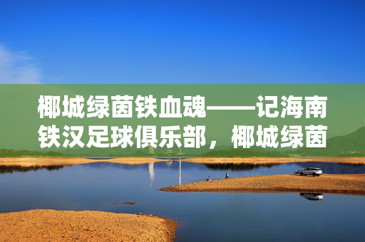 椰城绿茵铁血魂——记海南铁汉足球俱乐部，椰城绿茵铁血魂——海南铁汉足球俱乐部