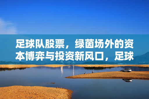 足球队股票，绿茵场外的资本博弈与投资新风口，足球队股票，绿茵场外资本博弈与投资新风口