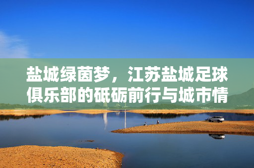 盐城绿茵梦，江苏盐城足球俱乐部的砥砺前行与城市情怀，盐城绿茵梦，砥砺前行中的城市情怀