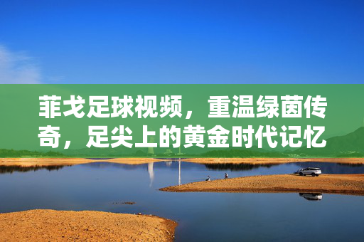菲戈足球视频，重温绿茵传奇，足尖上的黄金时代记忆，菲戈，绿茵传奇，足尖黄金时代记忆