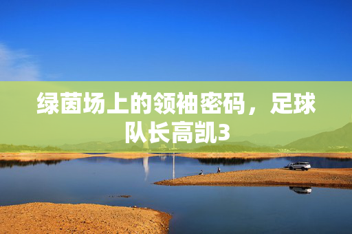 绿茵场上的领袖密码,足球队长高凯3