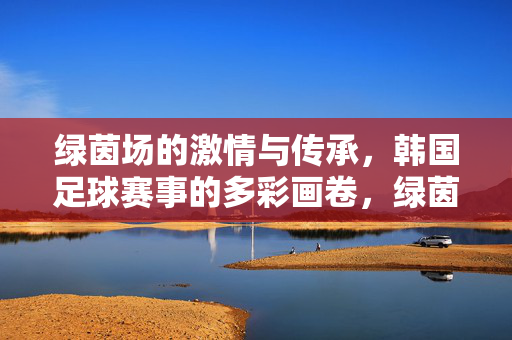 绿茵场的激情与传承，韩国足球赛事的多彩画卷，绿茵场的激情传承，韩国足球赛事多彩画卷