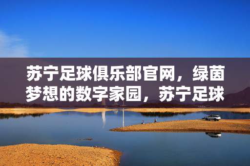 苏宁足球俱乐部官网，绿茵梦想的数字家园，苏宁足球官网，绿茵梦想数字家园