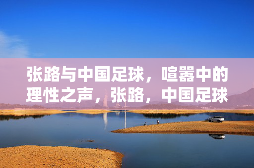 张路与中国足球，喧嚣中的理性之声，张路，中国足球喧嚣中的理性之声