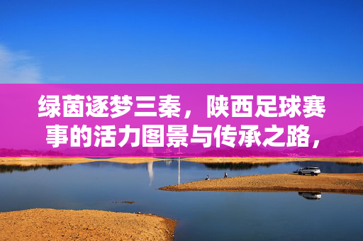 绿茵逐梦三秦，陕西足球赛事的活力图景与传承之路，绿茵逐梦三秦，陕西足球赛事的活力传承之路