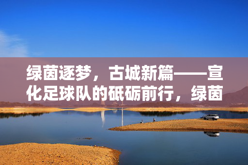 绿茵逐梦，古城新篇——宣化足球队的砥砺前行，绿茵逐梦古城新篇——宣化足球队砥砺前行