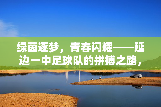 绿茵逐梦，青春闪耀——延边一中足球队的拼搏之路，绿茵青春，逐梦拼搏