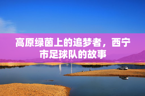 高原绿茵上的追梦者，西宁市足球队的故事