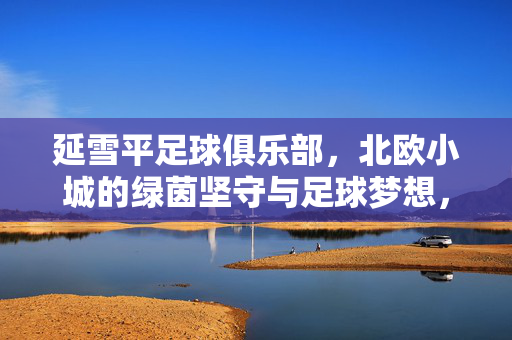 延雪平足球俱乐部，北欧小城的绿茵坚守与足球梦想，延雪平，北欧小城的绿茵坚守与足球梦想