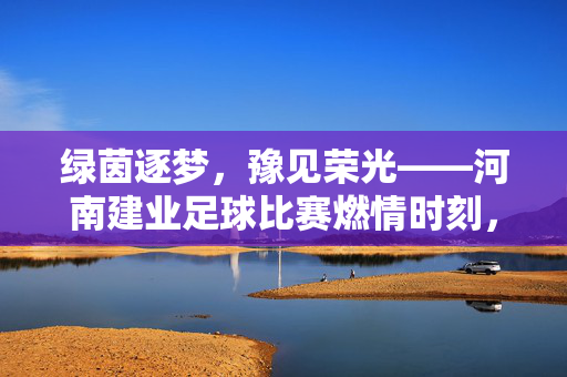 绿茵逐梦，豫见荣光——河南建业足球比赛燃情时刻，绿茵逐梦，豫见荣光——河南建业燃情时刻