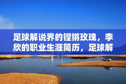 足球解说界的铿锵玫瑰，李欣的职业生涯简历，足球解说铿锵玫瑰李欣职业生涯简历