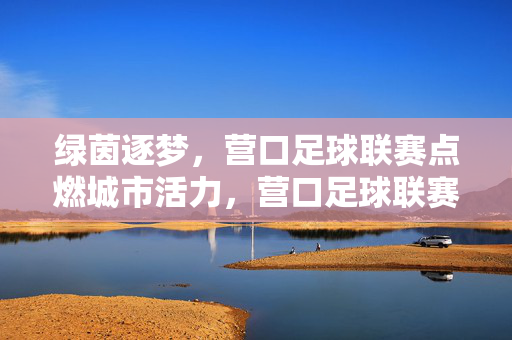 绿茵逐梦，营口足球联赛点燃城市活力，营口足球联赛，绿茵逐梦点燃城市活力