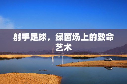 射手足球，绿茵场上的致命艺术