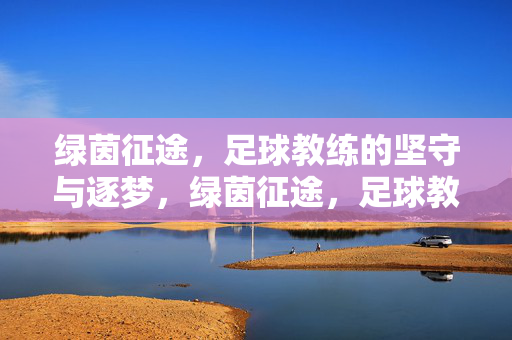 绿茵征途，足球教练的坚守与逐梦，绿茵征途，足球教练的坚守与逐梦