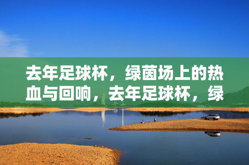 去年足球杯，绿茵场上的热血与回响，去年足球杯，绿茵场的热血回响