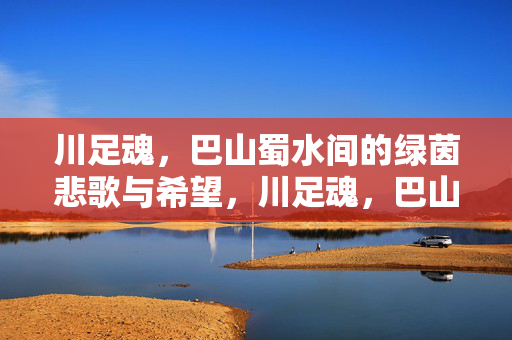 川足魂，巴山蜀水间的绿茵悲歌与希望，川足魂，巴山蜀水绿茵悲歌与希望