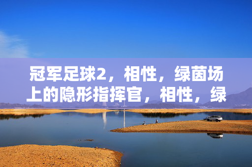 冠军足球2，相性，绿茵场上的隐形指挥官，相性，绿茵场上的隐形指挥官