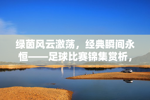 绿茵风云激荡，经典瞬间永恒——足球比赛锦集赏析，绿茵风云激荡，经典瞬间永恒——足球比赛锦集赏析