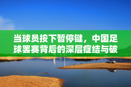 当球员按下暂停键，中国足球罢赛背后的深层症结与破局之路，中国足球罢赛，深层症结与破局之路