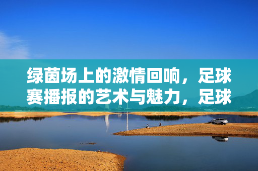 绿茵场上的激情回响，足球赛播报的艺术与魅力，足球赛播报的艺术，绿茵场上的激情回响